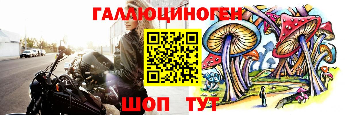 Щёкино  Галлюциногенные грибы мухоморы  Вход с VPN  Псилоцибиновые грибы MAGIC MUSHROOMS 